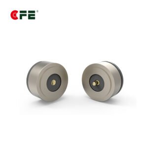 Courtyard Light magnetic connector