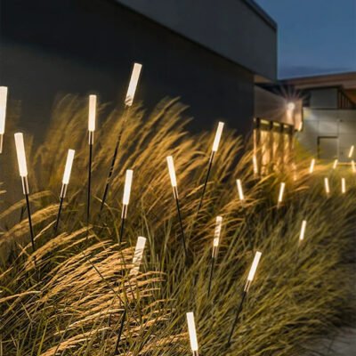 Light