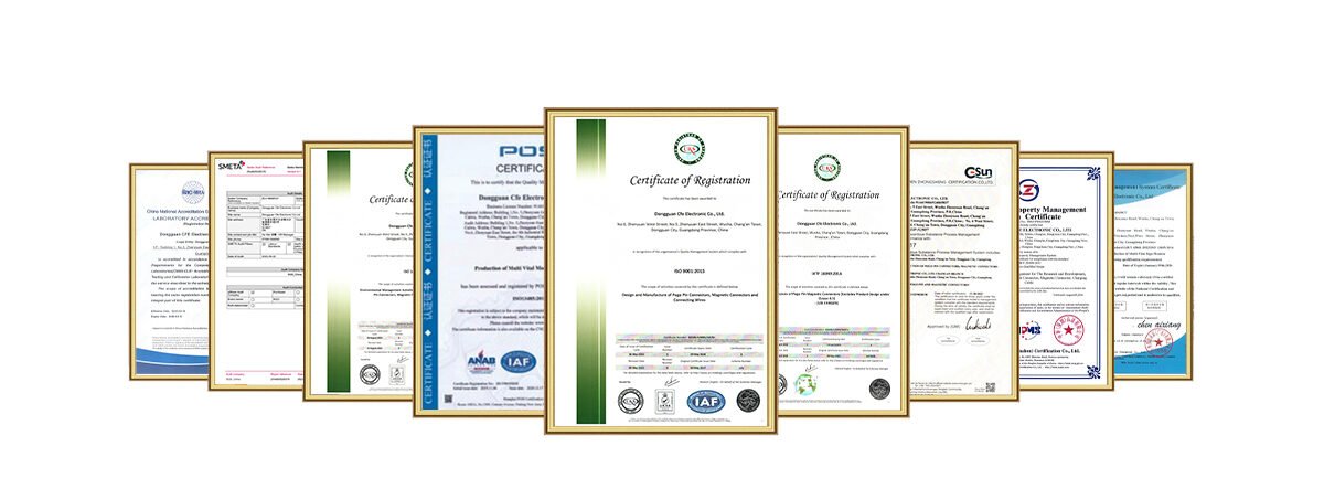 CFE Certification System